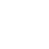 Bear Grizzly Brown Bear