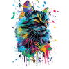 Katze