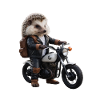Herisson motard