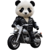 Biker Panda