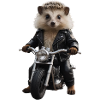 Biker hedgehog