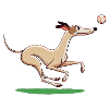 Cartoon Whippet Playing Fetch