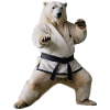 Sport polar bear