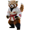 Sporty Red Panda
