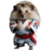 Sporty hedgehog