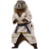 Sporty marmot