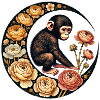 Chimp