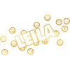 Nom Leila