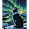 Aurora Feline Watcher