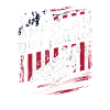 American flat track biker