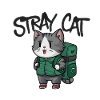 Stray Cat Cute