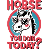 Horse You Doin Today