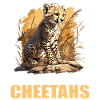 Cheetah Geparde Gepard