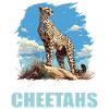 Guépard Geparde Gepard