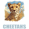 Cheetah Geparde Gepard