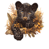 Panthers Panther