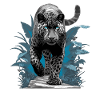 Panthers Panther