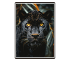 Panthers Panther