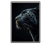 Panthers Panther