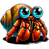 Hermit crab
