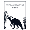 Parasaurolophus Chinese Hanzi Dinosaur Lover