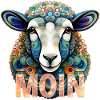 Buntes Moin-Schaf