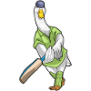 Canard Cricket Batte de cricket