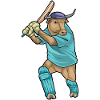 Bull Cricket Batte de cricket