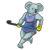 Koala Feldhockey Feldhockeyschläger