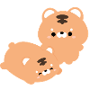 Tiger Couple
