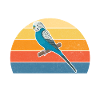 Budgie Gift
