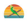 Budgie Gift