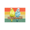 Budgie Gift