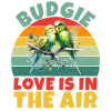 Budgie Gift