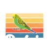 Budgie Gift