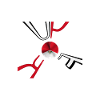 Peru Flag Lima