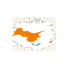Cyprus Flag Nicosia