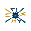 Ukraine Flag Kiev