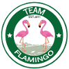 Team Flamingo
