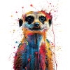 Meerkat