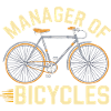 Manager of Bicycles Design