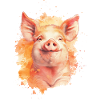 Pig