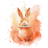 Lapin