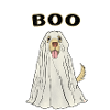 Ghost Costume Dog Disguise Funny