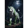 Tigre vert