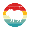 Retro Sunset Capybara