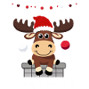 Sweet Christmas Moose