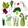 Adorable vegetables