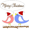 Noël avec des oiseaux amusants