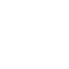 Lion de Juda